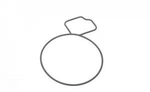 Прокладка водяного насосу